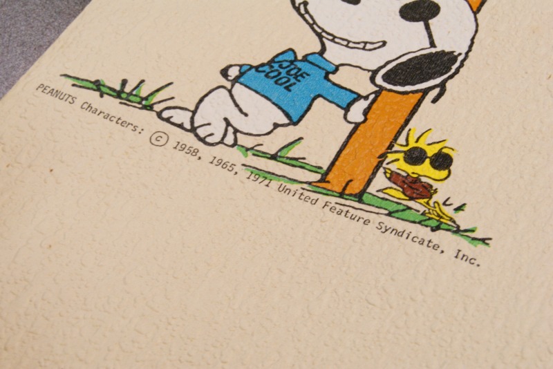 53 5cmx100cm Snoopy スヌーピー ビンテージ ウォールペーパー Diy リメイクに Merry Bee